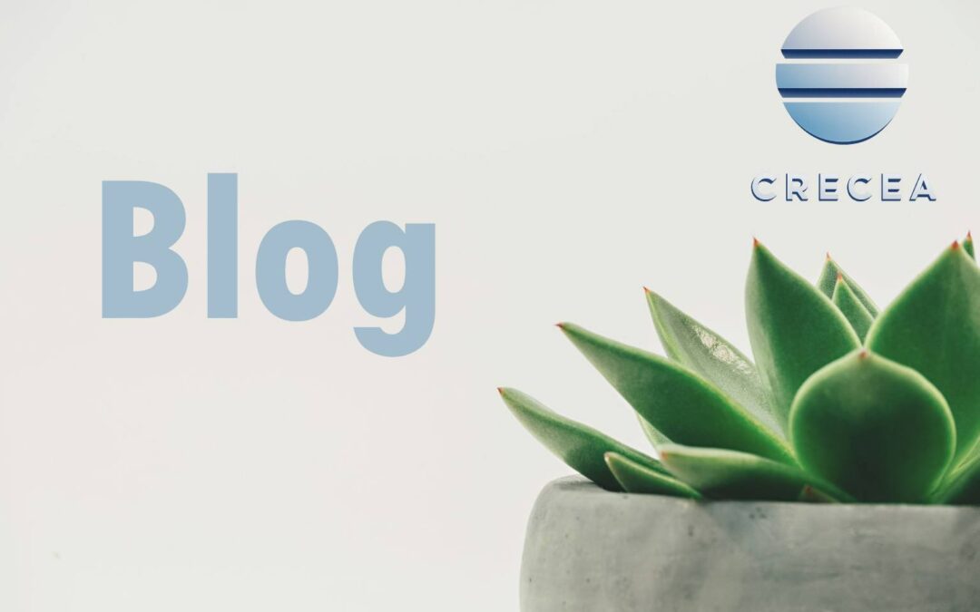 La courbure exo cognitive du savoir : manifeste pour une littérature qui respire avec les réseaux du monde